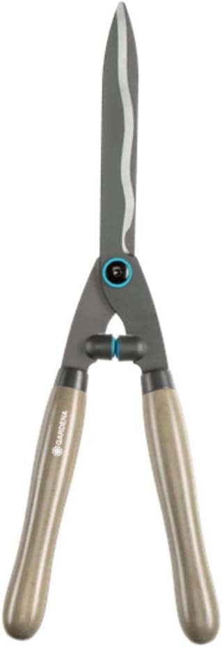 Vue 12