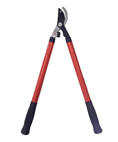 Preisvergleich Produktbild Teleskop Astschere / Gartenschere ausziehbar / Schere Gartenschere / Schere Hochastschere / mit selbstschließendem Ratsche / Schere Gartenschere Teleskop-Baumschere / Hochastschere / Amboss-Astschere