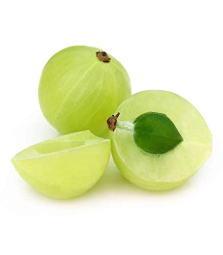 Amla en polvo - 100 gr - combate la caída del cabello, la caspa y el envejecimiento prematuro