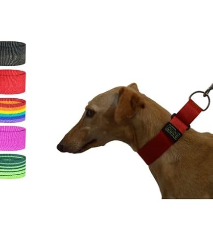 Snootiful Hound Martingale-Halsband – Gepunktet, Rutschfest Für Windhunde & Whippets (40–50 Cm)