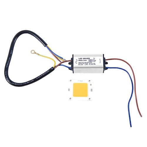 Funnyrunstore LED Chips integrados 10W 20W 30W 50W con LED Driver Light Bombilla de alta potencia Source COB Para DIY Flood Light Lawn Lamp (Color: blanco cálido; Tipo: 30W)