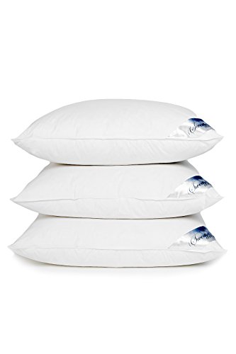 Hochwertiges weiches Daunenkissen Daunen Kissen angenehmes und weiches Kopfkissen: 80×80 cm , 1400 g Kissen-Füllung, aus 100 % Baumwolle reines Naturprodukt - 4