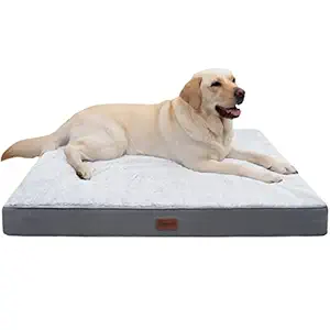 MIHIKK Orthopedic Dog Bed for Medium, Large Dogs, Egg-Crate Foam Dog Bed with Removable Waterproof Cover, Pet Bed Machine Washable (36 x 27 x 3 inch, Grey)