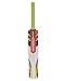 Gray Nicolls POWERBOW5-SMASHER Kashmir Willow Cricket Bat RS.1399.00