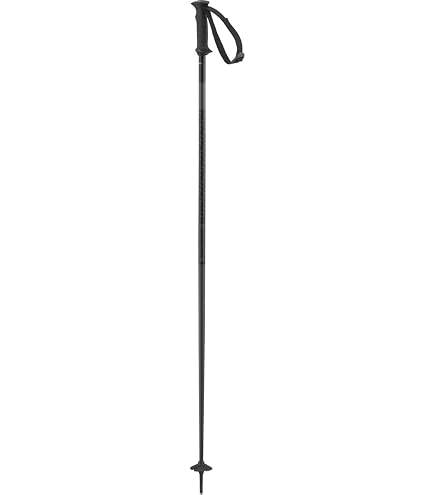Bastoncini Da Sci HEAD Worldcup SL JR Unisex, Bianco/Nero/Blu, 100 Cm, Leggeri In Alluminio, Per Giovani Atleti