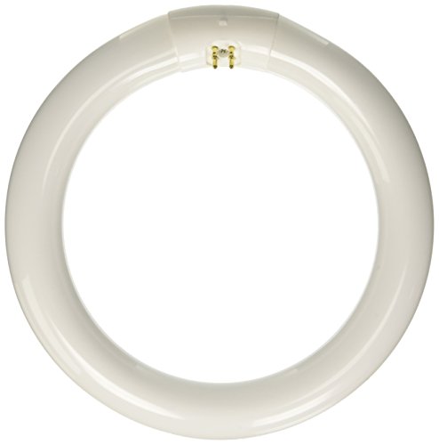 Osram L22 W/865 C – Zirkular Leuchtstoffröhre L22/865 – 22 W - 2