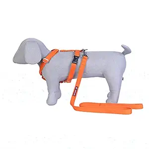 Pets Like Spun Poly H Harness with Leash Set Orange (Medium)