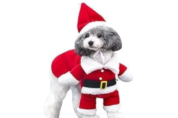 Bhumi Enterprise Pet Dog Cat Christmas Santa Hat with Scarf Xmas Costume Dress (S)