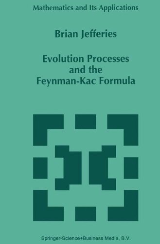 Evolution Processes and the Feynman-Kac Formula: 353 (Mathematics and Its Applications)
