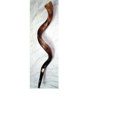 Kudu Yemenite HORN SHOFAR Kosher All Polished approx 40