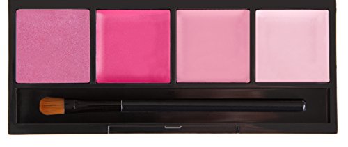 Preisvergleich Produktbild Coastal Scents Lip Quad, Juicy Pink by Coastal Scents