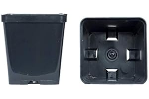 GEOSISM & NATURE Vasi quadrati colore nero 9x9x10 cm (n.10 pezzi), ditta Arca