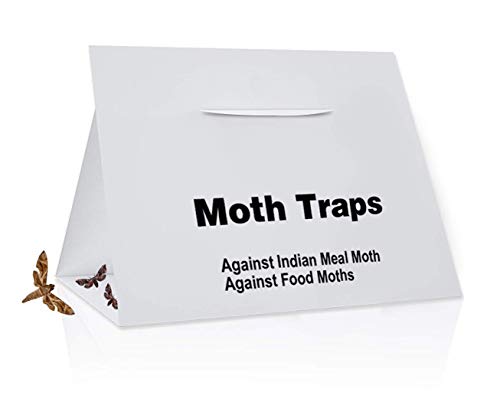 Preisvergleich Produktbild Wengerui Profi-Pheromonfalle zur Befallsermittlung von Lebensmittelmotten,Dörrobstmotten,Na... (8 Stück Weiß)