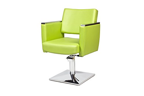 Styling Chair Barber Chair Salon Barbers Chair CASTANTO 100 colors to choose from (chrom base)