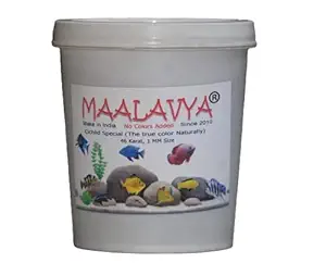 Maalavya 0.5KG Fish Feed/Food 46 Karat Cichlid Special 1MM Size (No Colors Added) Fish Food