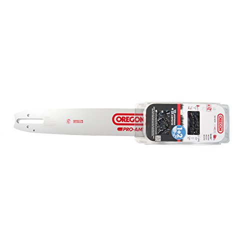 examen Jardiaffaires Combo Oregon guide 45cm 183SFGD025 + 2 chaînes 22BPX074E