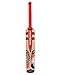 Gray Nicolls Kaboom Smash Kashmir Willow Cricket Bat, Short Handle RS.1561.22