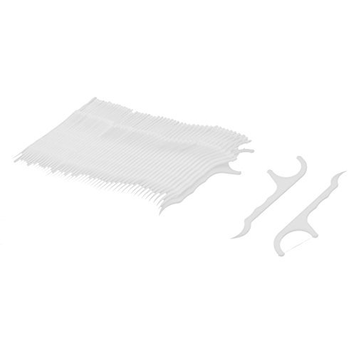Preisvergleich Produktbild DealMux Kunststoffgriff Täglich Gum Zähne sauber Floss Zahnstocher 52 Stk