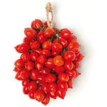 Pomodoro San Marzano gigante - Vivaio Menzani