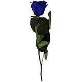 ETERNAL ROSES, konservierte langstielige Rose XL, Blue ca 30cm
