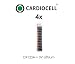 Produktbild Folienbeutel von Cardiocell® bestückt mit 40x Duracell CR 123 Lithium 3V Batterien DL123 123A CR123A CR17345 für Taschenlampen, Foto, Camcorder, Alarmanlage, Rauchmelder, Kameras, Spielzeug