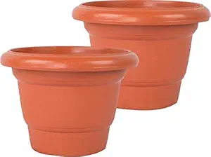 Plants Point Pastic Pot 8 inch flower pot pack of 5