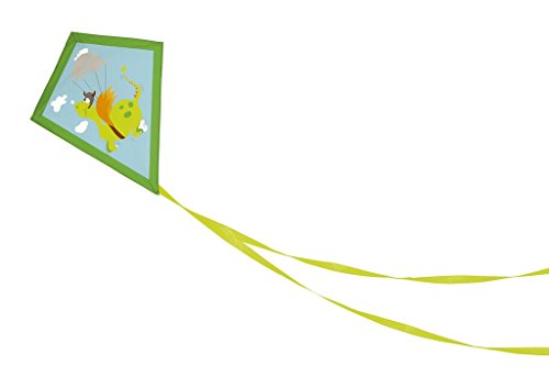 Dam SPRL CERF Volant Dragon