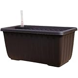 Schumm Plastia 1909024025 Siesta Lux - Jardinera para balcón con accesorio de riego automático (40 x 20 x 19 cm)
