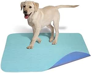 cat flap external wall