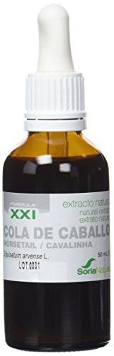 Soria Natural - EXTRACTO DE COLA DE CABALLO S. XXI - Extracto Natural - Fuerza uñas y cabello y disminuye retención de líquidos - 50 ml - Equisetum arvense (PACK 1)