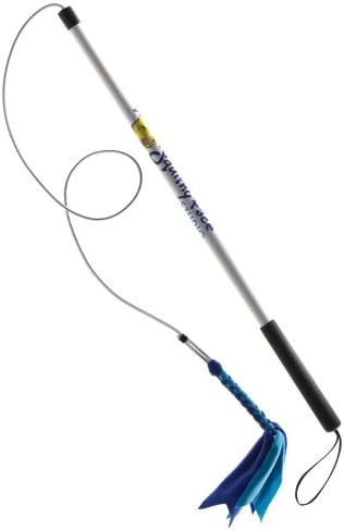 Squishy Face Flirt Pole V2 Blue 36-inch