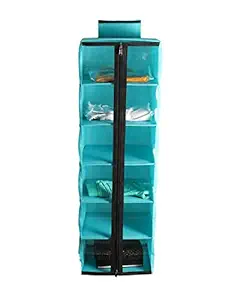 Shrey Creation 6 Shelf with Transparent Front Clothes Hanging Organizer, Wardrobe for Regular Garments, Shoes Storage Cupboard, Hanger Bag with Zip-R Green