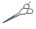 Professional Hairdressing Barber Salon Scissors 5.5"