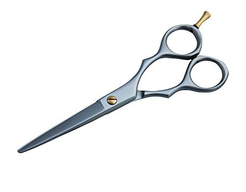 Professional Hairdressing Barber Salon Scissors 5.5"