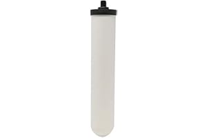British Berkefeld WF 10058 Super Sterasyl Filter Candle
