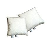 beties "Publik" Federkissen 2er Set 45x45 cm (echte Federn) vielfältige Größenauswahl, waschbar traditionell gefertigt Farbe Creme beties "Publik" Federkissen 2er Set 45x45 cm (echte Federn) vielfältige Größenauswahl, waschbar traditionell gefertigt Farbe Creme