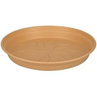 Platillos para plantas | Amazon.es