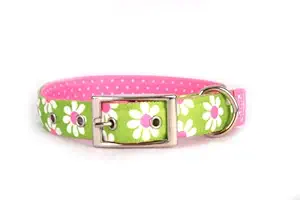 Yellow Dog Design Uptown Collar, Extra Large, Green Daisy on Pink Polka, Small Dots