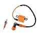 Produktbild veroda Racing Zündspule mit 3-electrode Zündkerze für Honda CG 125 150 200 cc ATV Dirtbike Crossbike