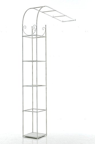 CLP Wand-Rankhilfe SIMON, Rosenbogen halbrund, Eisen Halbbogen zur Wandmontage, Größe wählbar, sehr stabil antik-weiß, 218 x 161 x 29 cm (H x B x T) - 2