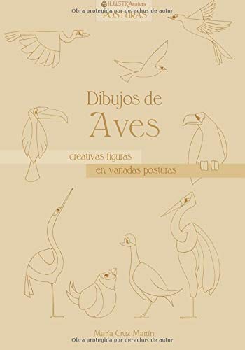 Dibujos de Aves: creativas figuras en variadas posturas (ILUSTRAnatura Posturas)