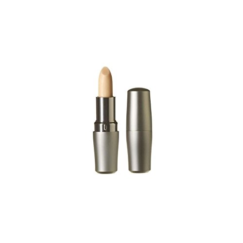 Shiseido The Skincare Essentials Protective Lip Conditioner (4G) (Pack of 4)