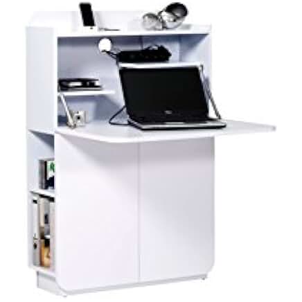 Suchergebnis auf Amazon.de für: möbel sekretär modern