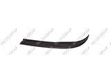 aleron 207 compact Producto de calidad Prasco PG3221804 Alerón Delantero para Coches