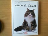 Zauber der Katzen