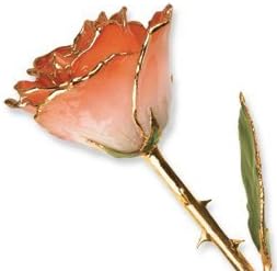 Long Stem Dipped 24K Gold Trim White &amp; Orange Lacquered Genuine Rose In Gift Box by Allmygold Jewelers