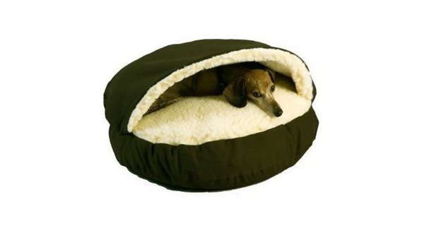 discount dog beds