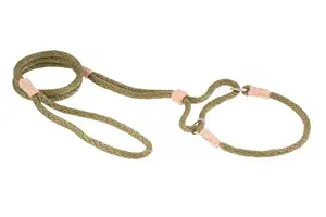 Alvalley Nylon Martingale Show Lead for Dogs 6mm x 42in x 10in Collar