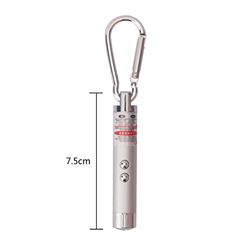 ZXK CO 2 Stück Multifunktion Tragbare Mini LED Mini LED Licht und UV Licht Taschenlampe Mit Karabiner Schlüsselanhänger-Silber - 2