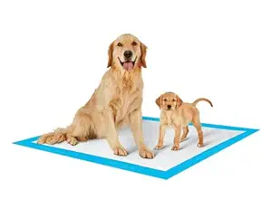 Patch & Marshall Pet Training Pads with Floor Sticking Tape/Puppy Pee TrainingPad & Dog Potty Training Pads/Suitable for Small to Large Breed Puppies Dogs /30 Count/Size: XL 60cm X 90 cm - Blue
